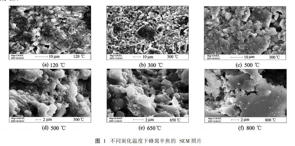 圖1不同炭化溫度下蜂窩半焦的SEM照片